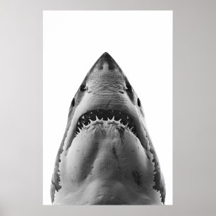 Poster Grand portrait de requin blanc moderne