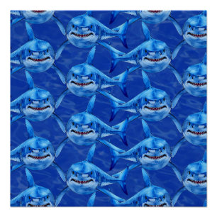 Poster Grand requin blanc affamé