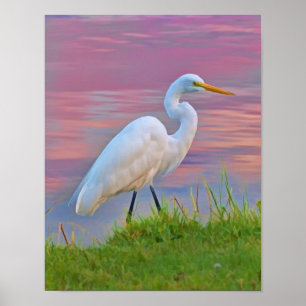 Poster Grande aigrette se promener au lever du soleil