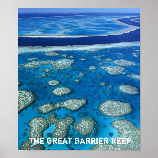 Poster Grande barrière de corail Imprimer (Devant)