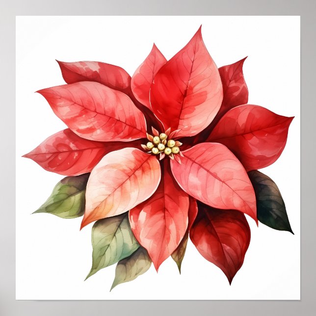 Poster Grande Belle Fleur de Noël Rouge (Devant)