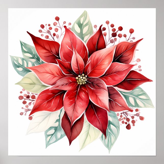 Poster Grande Belle Rouge Poinsettia Fleur de Noël (Devant)