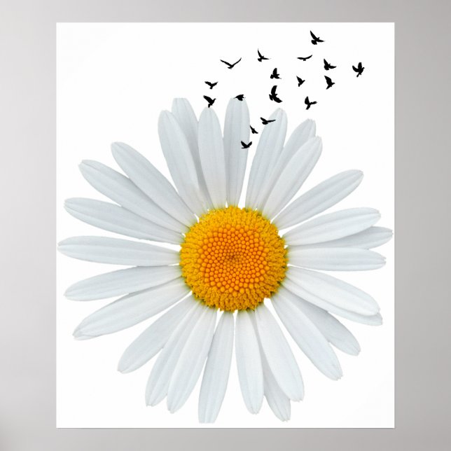 Poster Grande Fleur marguerrière avec des oiseaux volants (Devant)