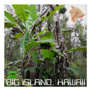 POSTER GRANDE ÎLE HAWAII