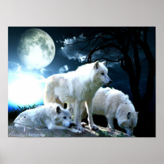 Poster Grande Lune de loup