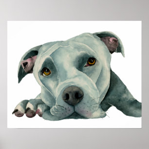 Poster Grande peinture d'aquarelle de chien de pitbull de