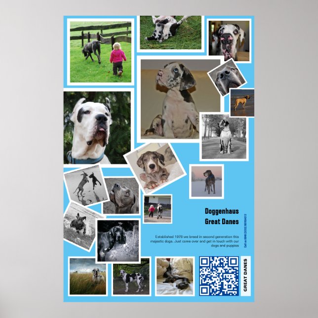 Poster Grande promotion de Kennel (Devant)