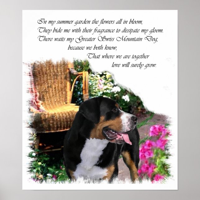Poster Grande Suisse Mountain Dog Art Imprimer (Devant)