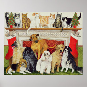 Poster Grandes expectatives