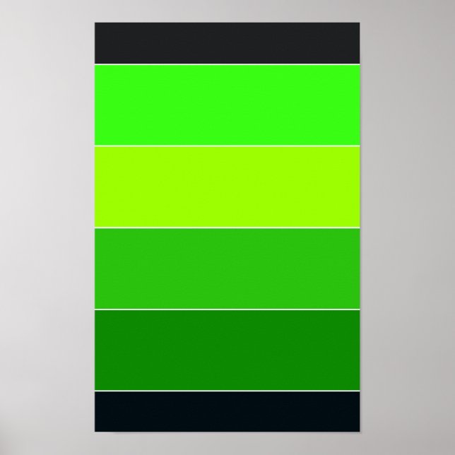 Poster Grandes vertes et noires (Devant)