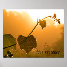 Grapevine & Débordements à Sunrise-Inspirational