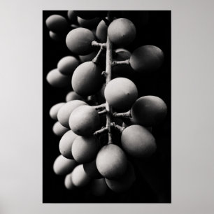 Poster graphes
