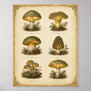Poster Graphique de champignons vintage lumineux Cottagec