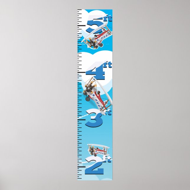 Poster Graphique de croissance Bi-Plane (Devant)