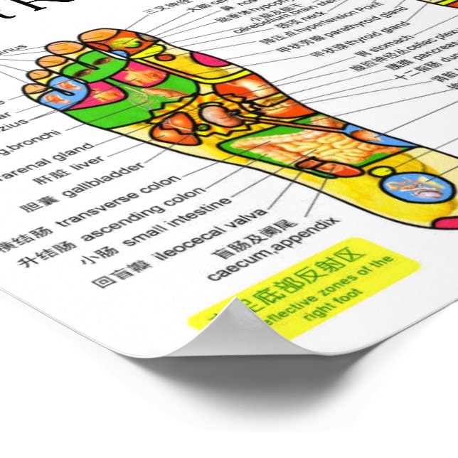 Poster Graphique de flexologie des pieds 10x7" (Coin)