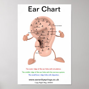 Poster Graphique de l'oreille