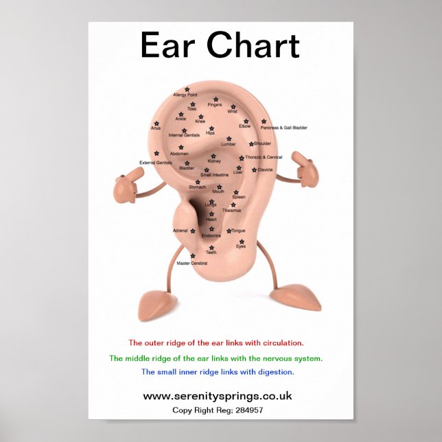 Poster Graphique de l'oreille (Devant)