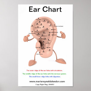 Poster Graphique de l'oreille