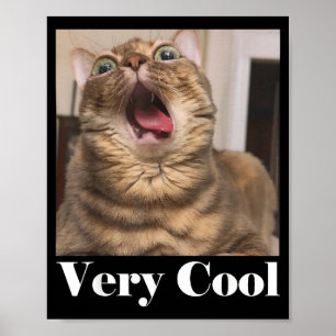 Poster Graphique de Mème de Chats Humour de Chat Drôle Ch