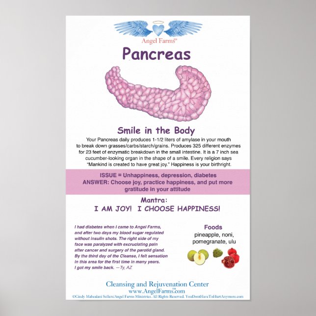 Poster Graphique de Pancreas d'élevage d'anges (Devant)