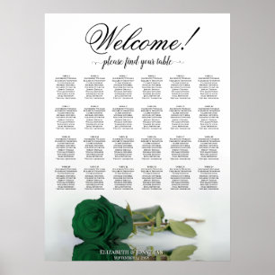 Poster Graphique de placement 24 tables mariage rose vert