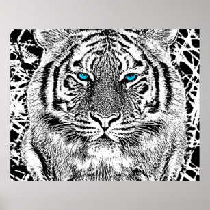 Poster Graphique de tigre noir et blanc aux yeux bleus
