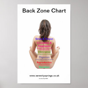 Poster Graphique de zone arrière