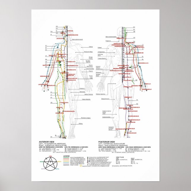 Poster Graphique des méridiens humains (Devant)