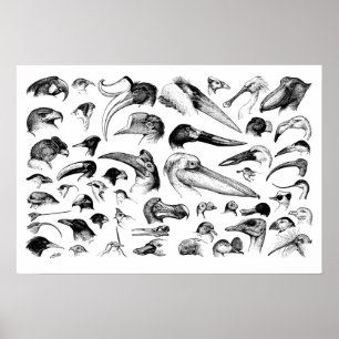 Poster Graphique des nomenclatures