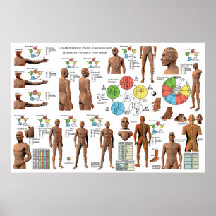 Poster Graphique des points de Méridiens d'acupuncture fr