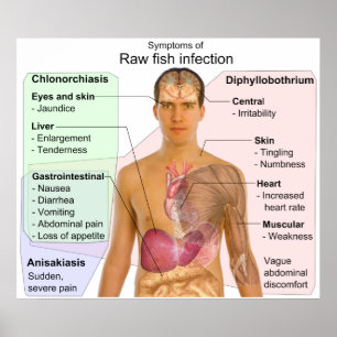 Poster Graphique des symptômes d'une infection à poisson 