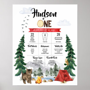 Poster Graphique d'étape du 1er anniversaire One Happy Ca