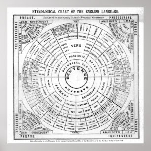 Poster Graphique épidémiologique de la Rév de langue angl