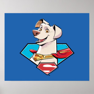 Poster Graphique Krypto S-Shield
