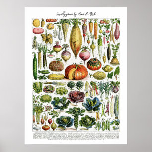Poster Graphique Légumes Vintages français cultivés local