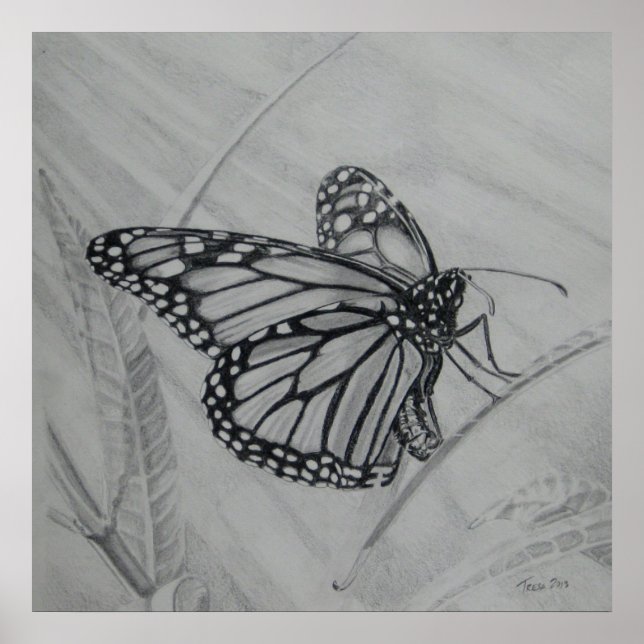 Poster Graphique Monarch Butterfly (Devant)