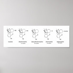 Poster Graphique Morphique