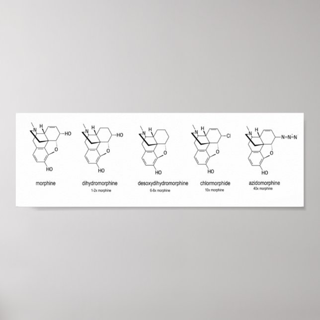 Poster Graphique Morphique (Devant)