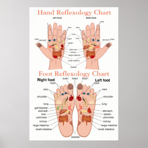 Poster Graphique Réflexologie 20X30"