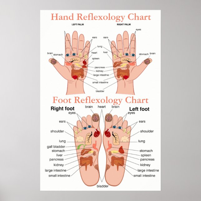 Poster Graphique Réflexologie 20X30" (Devant)