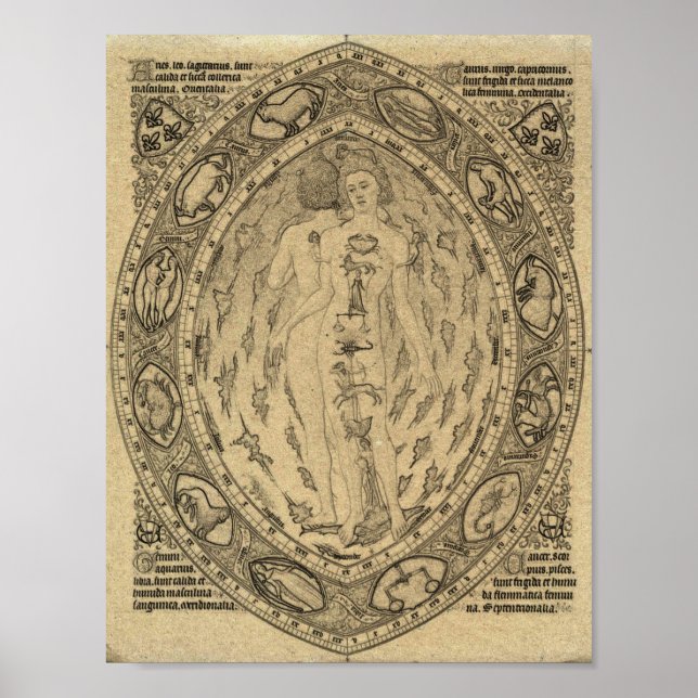 Poster Graphique vintage d'atrologie du zodiaque (Devant)