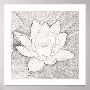 POSTER GRAPHITE LOTUS GRAPHITE