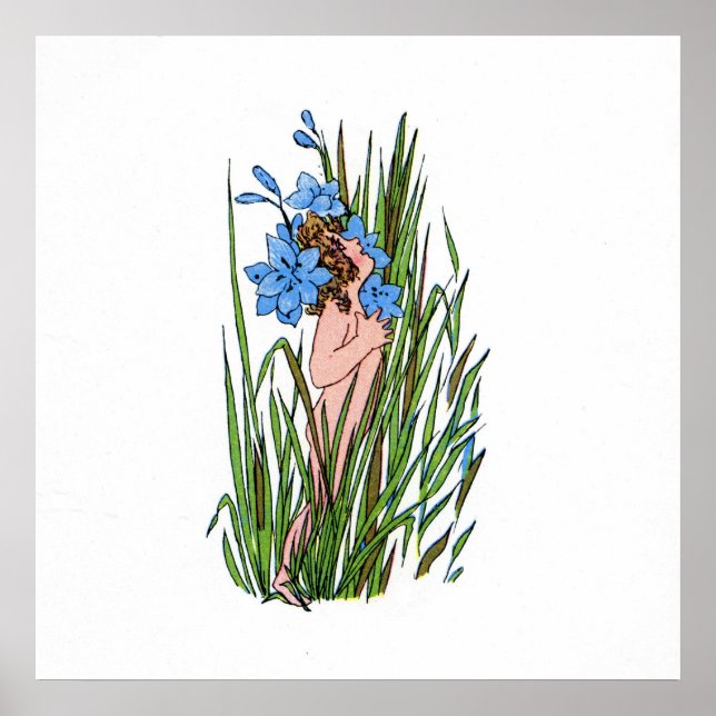 Poster Grass bleu (Devant)