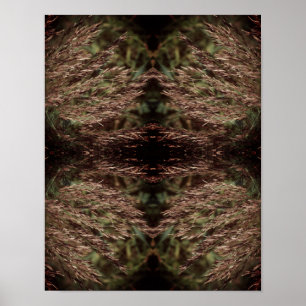 Poster Grasses séchées à la plume Gros plan Abstrait