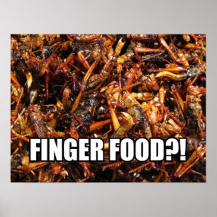 Poster Grasshopper frit (Takkataen Thot) Alimentation asi