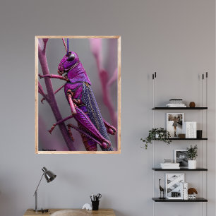 Poster Grasshopper violet