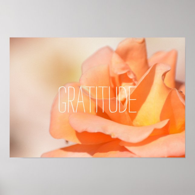Poster Gratitude (Devant)