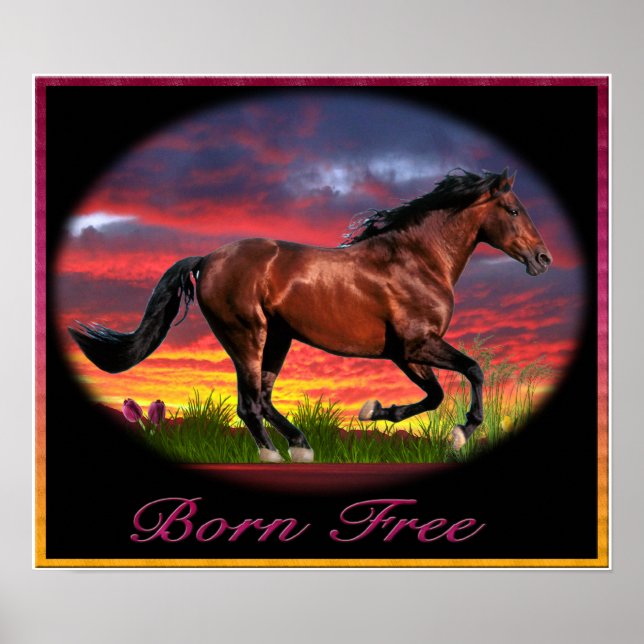 poster gratuit (Devant)