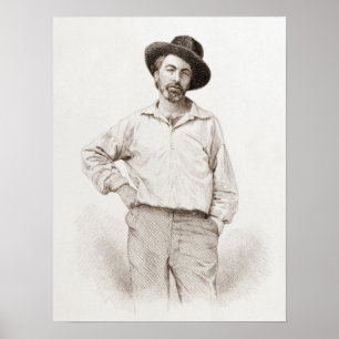 Poster Gravure de Walt Whitman