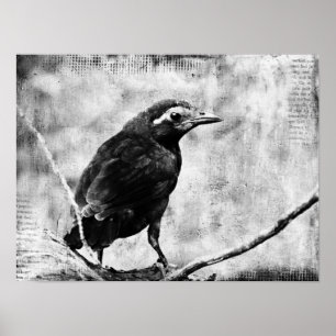 Poster Gravure pour bébé